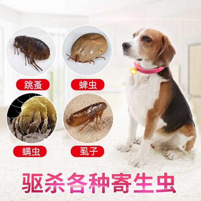 灭跳蚤特效药_灭跳蚤专用药_用什么灭跳蚤最有效