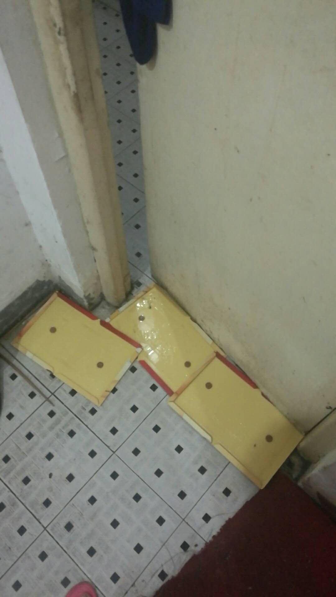 实用的家庭灭鼠奇招_家庭灭鼠最简单方法_家庭灭鼠的方法