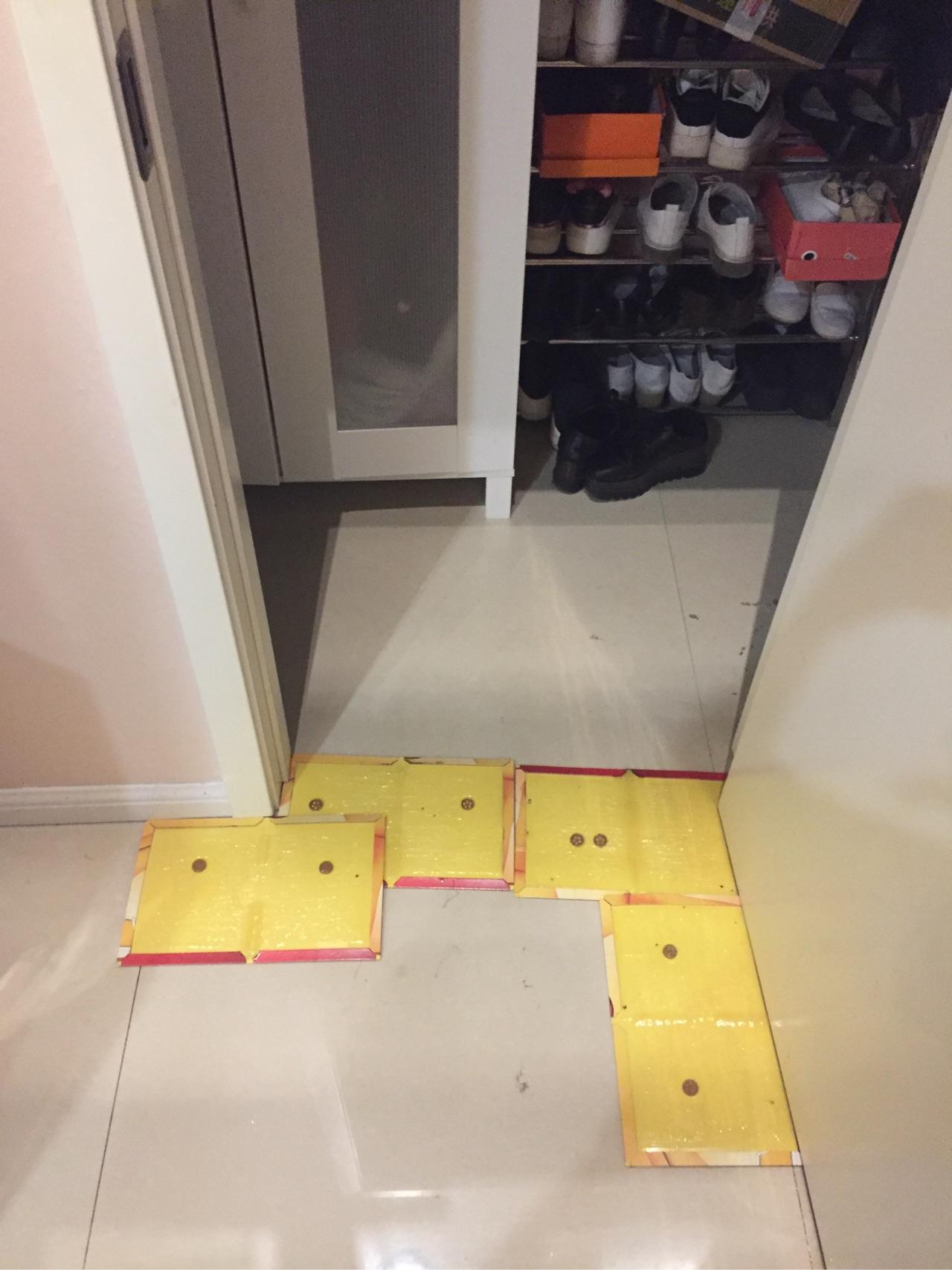 实用的家庭灭鼠奇招_家庭灭鼠最简单方法_家庭灭鼠的方法