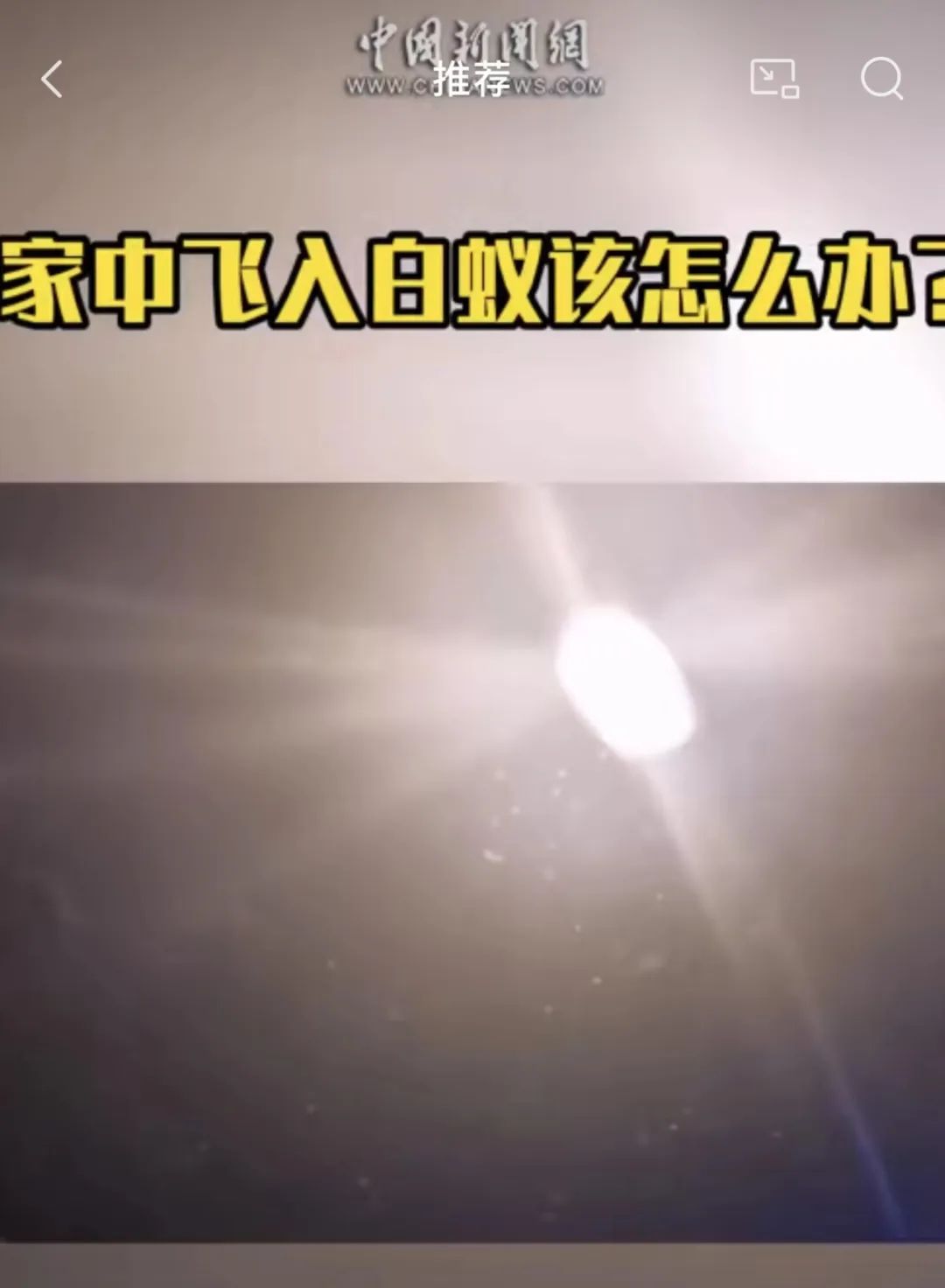 灭白蚁公司多少钱一次_灭白蚁公司白蚁防治公司_灭白蚁公司