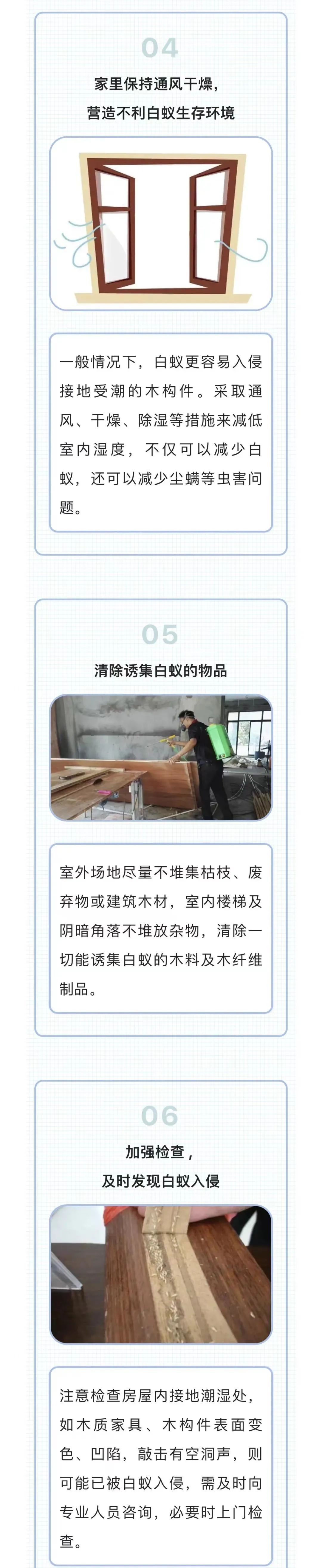 灭白蚁公司白蚁防治公司_灭白蚁公司_灭白蚁公司多少钱一次