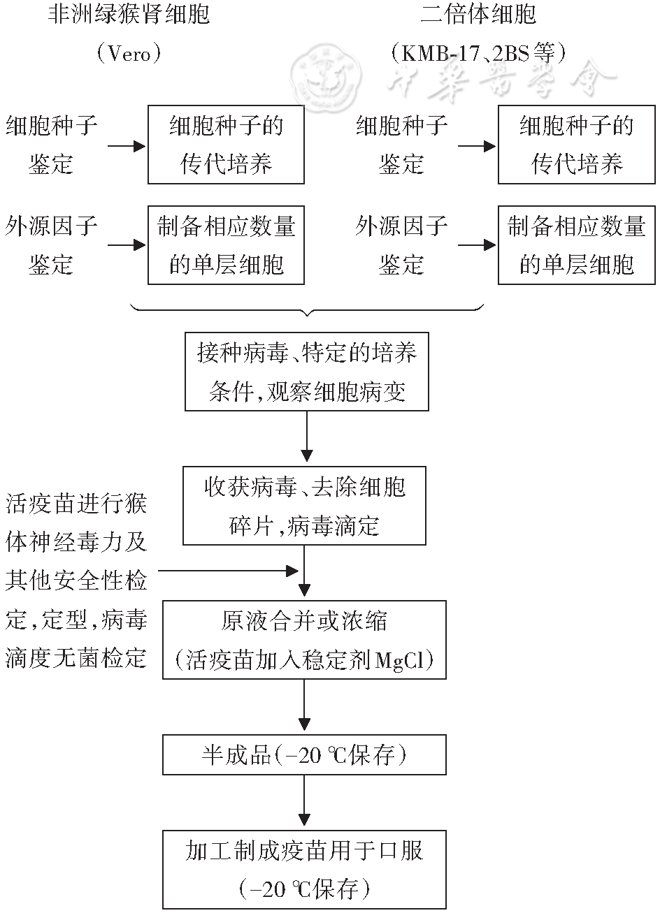 灭老鼠最有效的13个方法推荐_灭老鼠秘方_老鼠怎么灭知乎