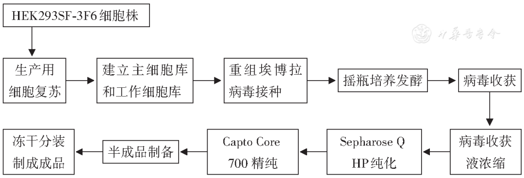 老鼠怎么灭知乎_灭老鼠最有效的13个方法推荐_灭老鼠秘方