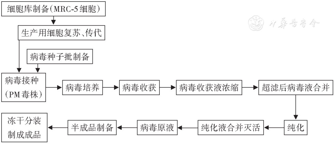 灭老鼠秘方_灭老鼠最有效的13个方法推荐_老鼠怎么灭知乎
