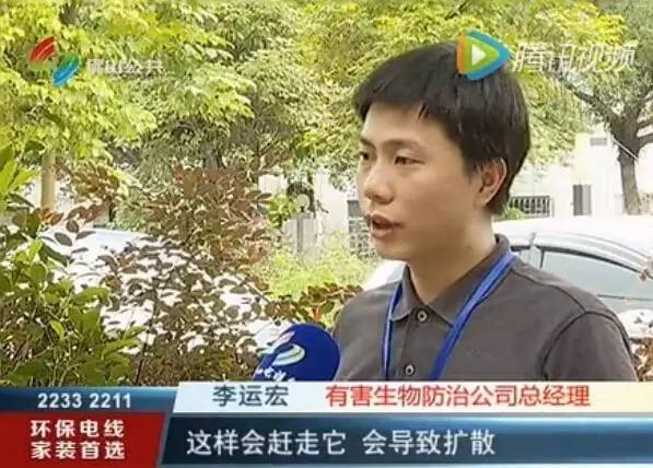 灭杀白蚁药_灭白蚁的特效药_特效灭药白蚁有用吗