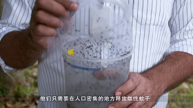 灭蚊子神器第一名_灭蚊神器怎么做_灭蚊神器使用方法