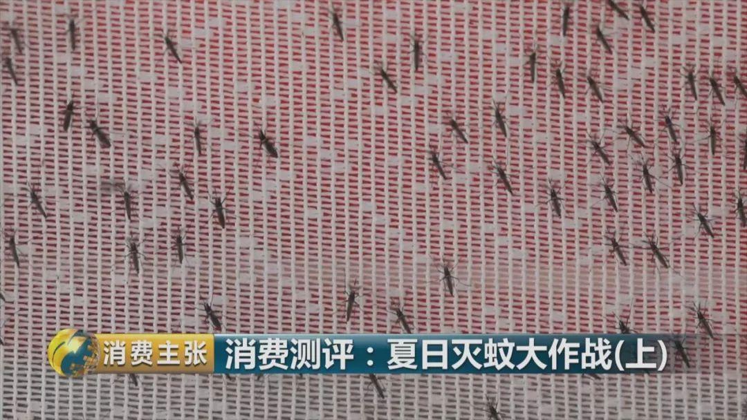 哪个牌子的灭蚊灯效果好_灭蚊灯哪个牌子好用有效_灭蚊灯牌子