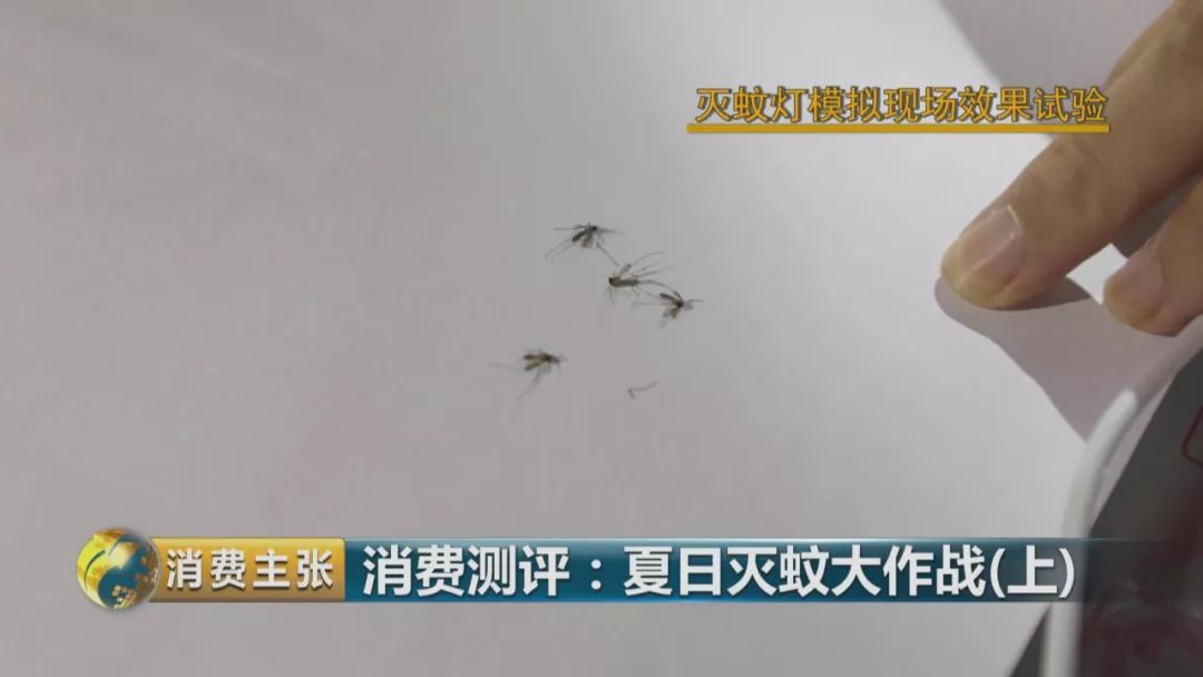灭蚊灯牌子_哪个牌子的灭蚊灯效果好_灭蚊灯哪个牌子好用有效