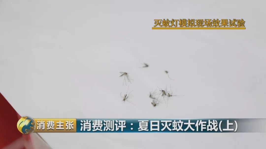 灭蚊灯牌子_灭蚊灯哪个牌子好用有效_哪个牌子的灭蚊灯效果好