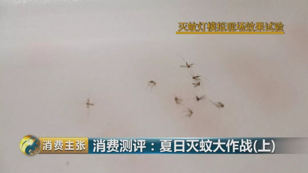 灭蚊灯牌子_哪个牌子的灭蚊灯效果好_灭蚊灯哪个牌子好用有效