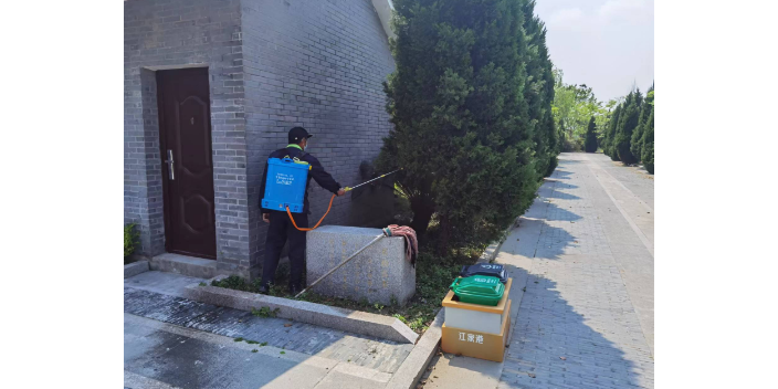小区灭苍蝇的药,灭