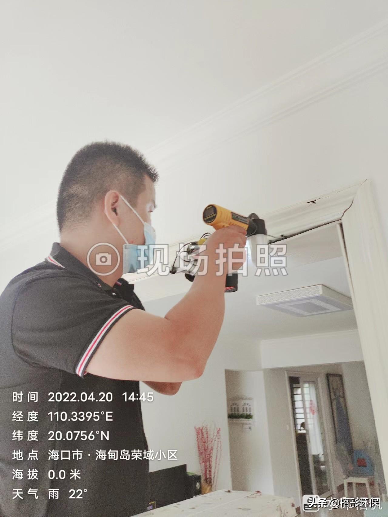 白蚁处理家里有什么好处_白蚁出现在家里怎么办_家里有白蚁怎么处理