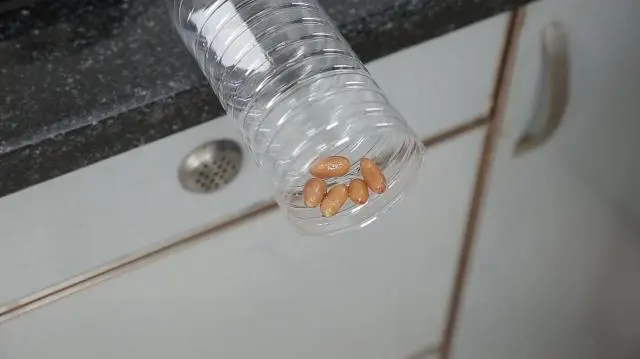 灭老鼠绝招_灭老鼠最好的方法_老鼠怎样才能灭老鼠