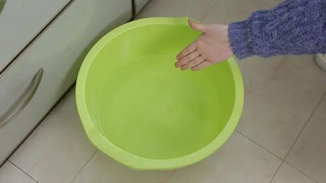 灭老鼠最好的方法_灭老鼠绝招_老鼠怎样才能灭老鼠