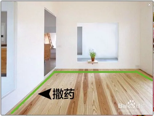 怎么消灭跳蚤，家里跳蚤怎么清除