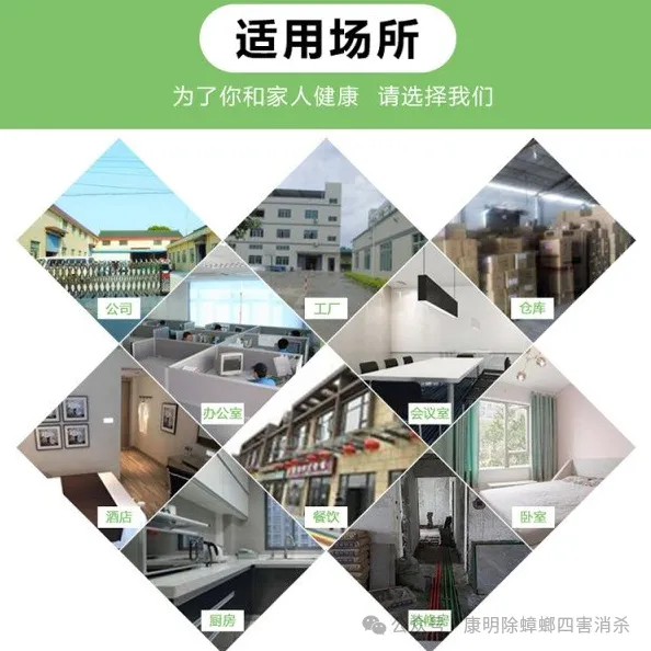 上门灭白蚂蚁_上门灭白蚁收费明细_上门灭白蚁收费标准