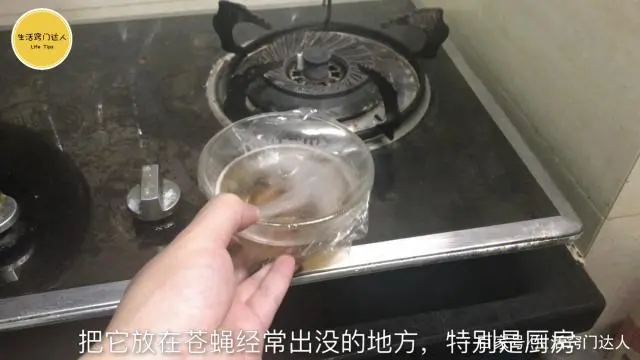苍蝇实用驱赶办法简单描述_苍蝇实用驱赶办法简单说明_驱赶苍蝇最简单实用的办法