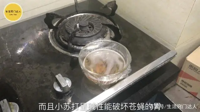 苍蝇实用驱赶办法简单说明_驱赶苍蝇最简单实用的办法_苍蝇实用驱赶办法简单描述