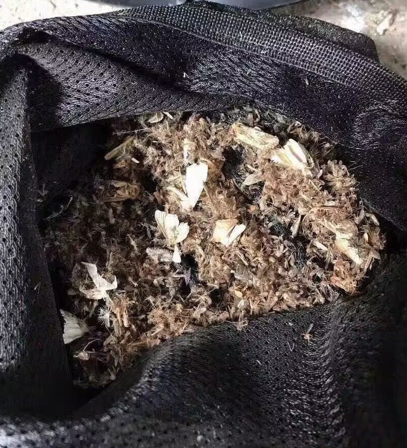 灯子灭蚊用有什么好处_灭蚊子灯有用吗_灭蚊子的灯管用吗