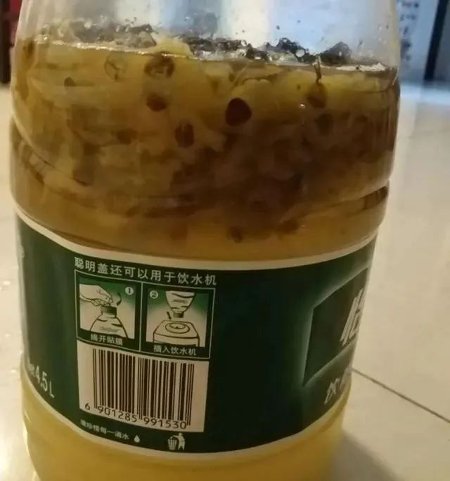 最有效果的自制杀虫水_10种自制杀虫水_如何自制杀虫水植物