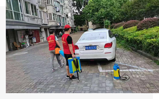 虫控实施