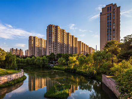小区虫鼠防治