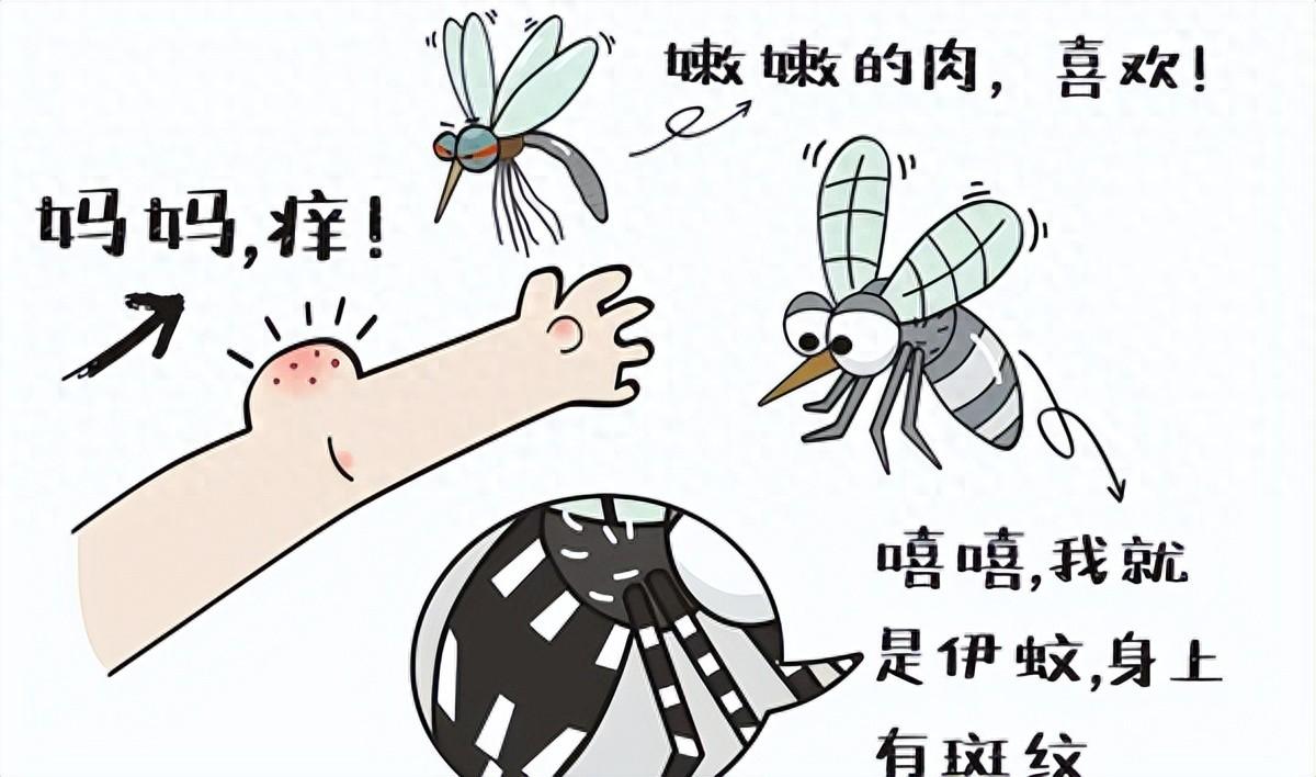 国家为什么不消灭蚊子_蚊子灭绝的国家_蚊子彻底消灭