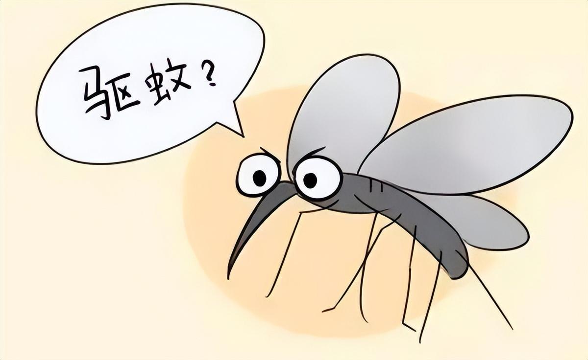 蚊子彻底消灭_国家为什么不消灭蚊子_蚊子灭绝的国家
