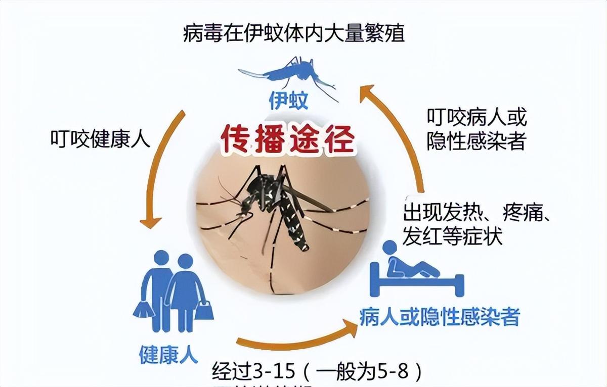 蚊子彻底消灭_国家为什么不消灭蚊子_蚊子灭绝的国家