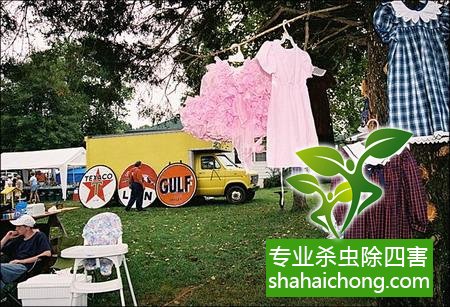 灭土跳蚤有效方法是什么_灭跳蚤最有效的土方法_有什么特效方法治土跳蚤