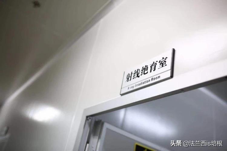 消灭蚊子会破坏生态吗_蚊子灭绝了世界会怎样知乎_国家为什么不消灭蚊子
