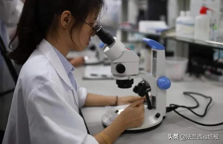 国家为什么不消灭蚊子_蚊子灭绝了世界会怎样知乎_消灭蚊子会破坏生态吗