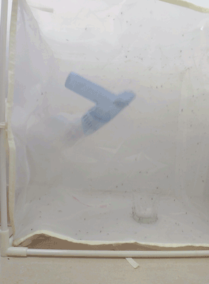 灭蚊子神器有用吗_灭蚊子神器测评_灭蚊神器使用方法