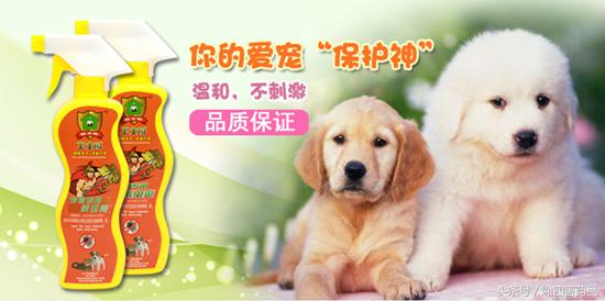 用什么灭跳蚤最有效_灭跳蚤专用药_灭跳蚤特效药