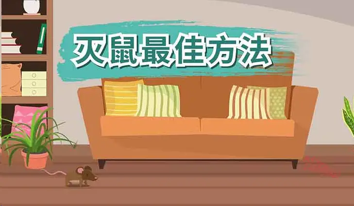 简单家庭灭鼠方法图片_家庭灭鼠最简单方法_简单家庭灭鼠方法有哪些