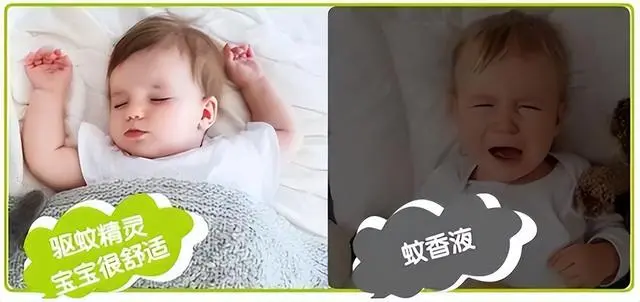 灭蚊子最有效的产品_有效的灭蚊_如何灭蚊子最快最有效