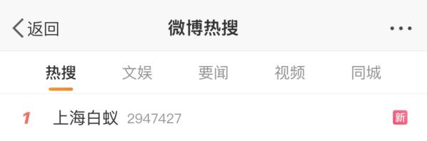 白蚁灭了还会反复吗_灭白蚁后多久可住人_白蚁灭绝会怎么样