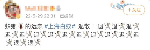 白蚁灭绝会怎么样_灭白蚁后多久可住人_白蚁灭了还会反复吗