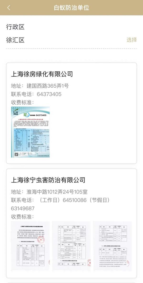 白蚁灭了还会反复吗_白蚁灭绝会怎么样_灭白蚁后多久可住人