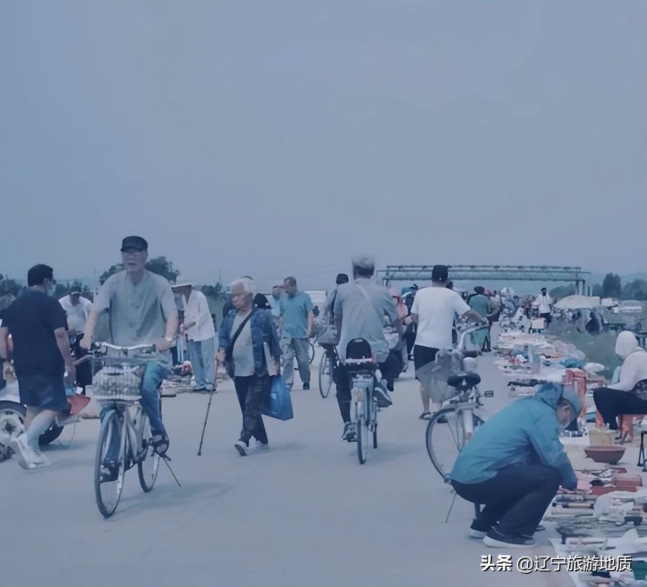 灭跳蚤批发_专业灭跳蚤服务_灭跳蚤杀跳蚤服务公司