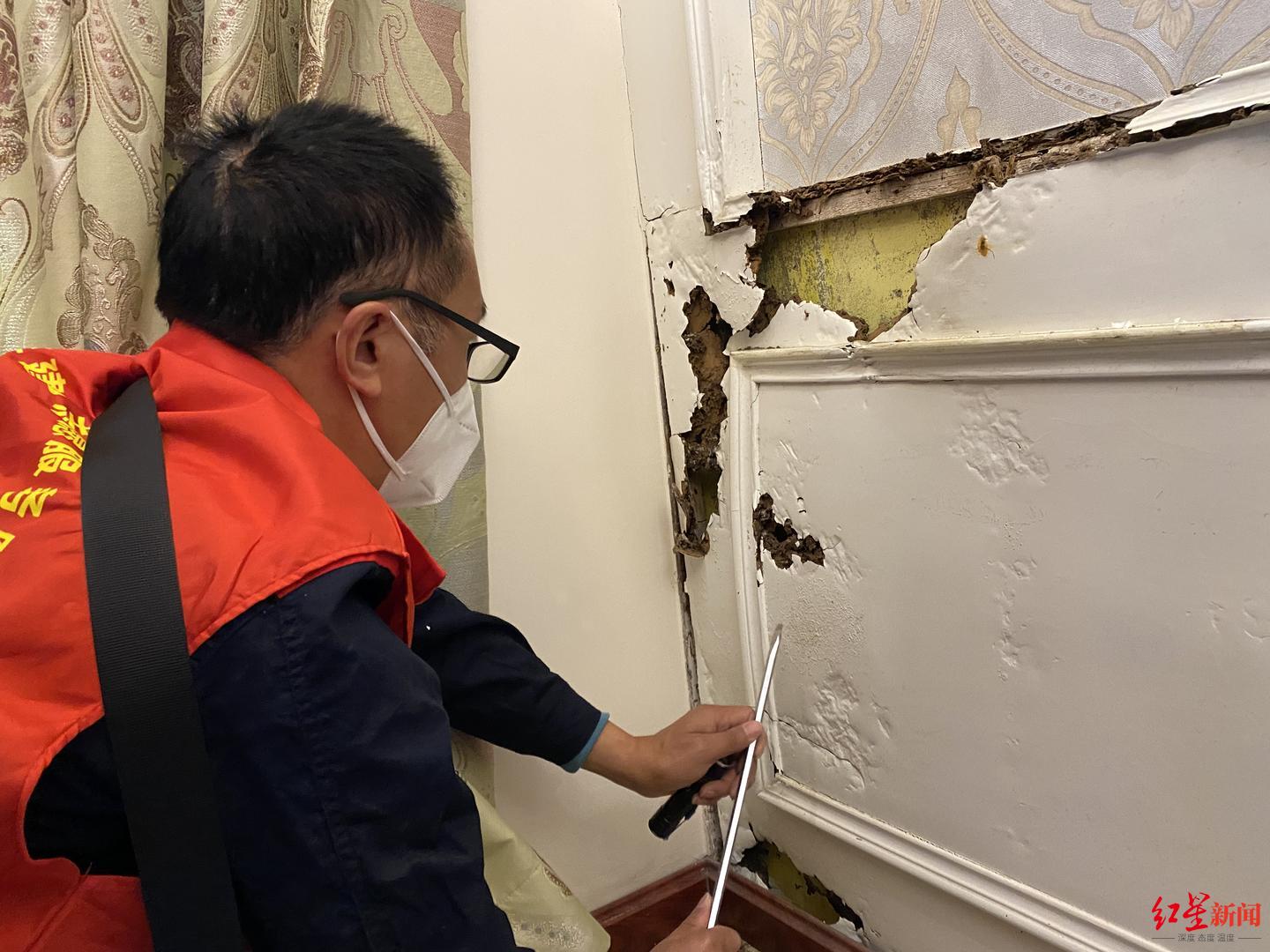 白蚁灭完后怎么处理_灭白蚁后多久可住人_白蚁灭了还会反复吗