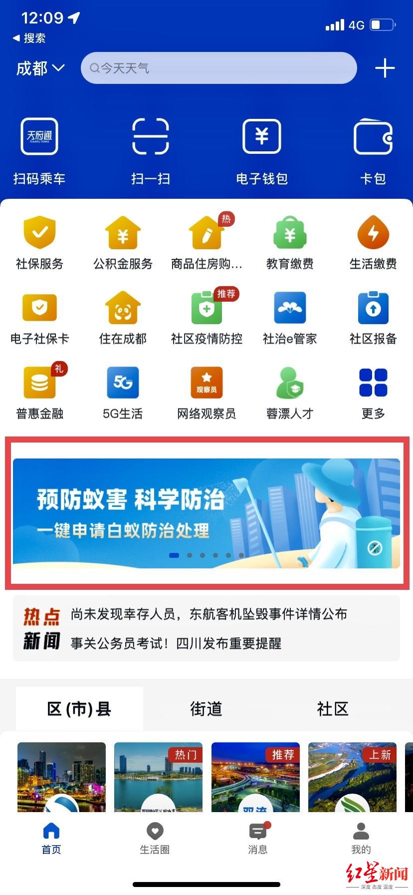 白蚁灭了还会反复吗_灭白蚁后多久可住人_白蚁灭完后怎么处理