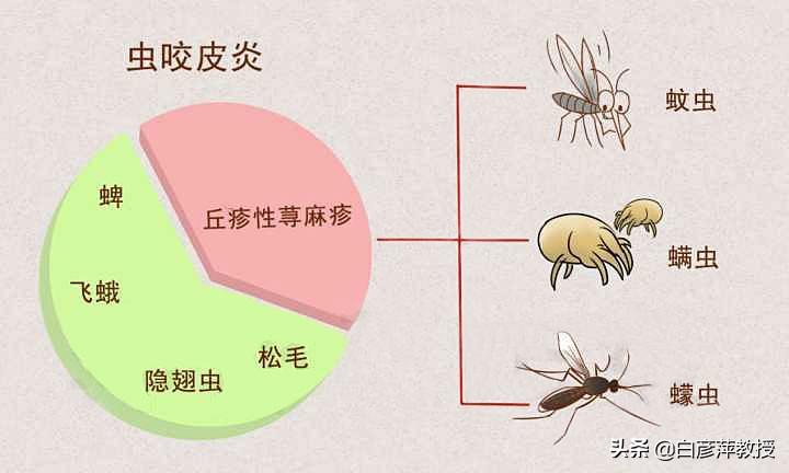 灭跳蚤批发_灭跳蚤公司哪家好_灭跳蚤杀跳蚤服务公司
