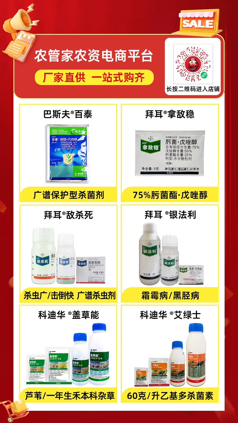 灭白蚁一般多少钱_灭白蚁有前景吗_前景灭白蚁有什么方法