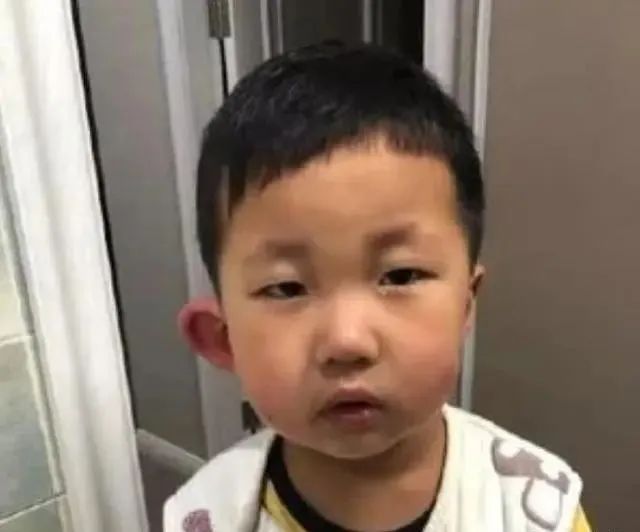 家庭最有效的灭蚊方法_家庭最有效灭蚊子方法_家庭灭蚊子最有效的方法是什么