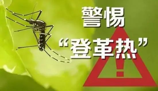 家庭灭蚊子最有效的方法是什么_家庭最有效灭蚊子方法_家庭最有效的灭蚊方法