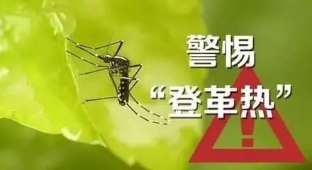 家庭灭蚊子最有效的方法是什么_家庭最有效灭蚊子方法_家庭最有效的灭蚊方法