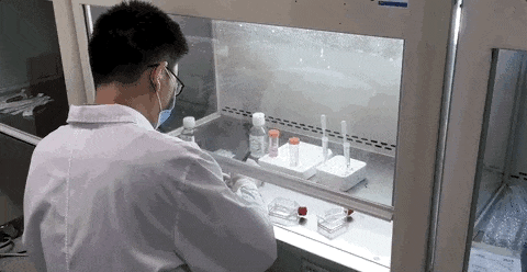 家庭最有效的灭蚊方法_家庭灭蚊子最有效的方法是什么_家庭最有效灭蚊子方法