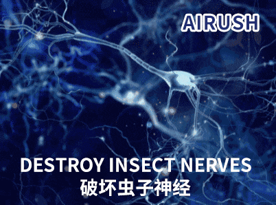 家庭灭蚊子最有效的方法是什么_家庭最有效的灭蚊方法_家庭最有效灭蚊子方法