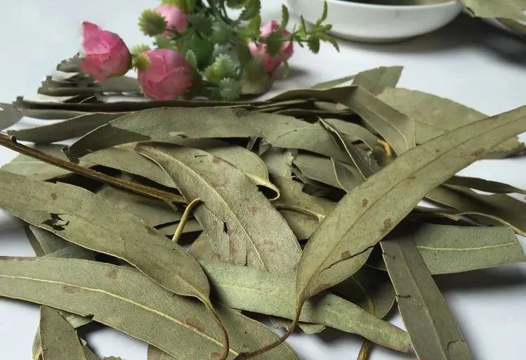 家庭灭蚊子最有效的方法是什么_家庭最有效的灭蚊方法_家庭最有效灭蚊子方法